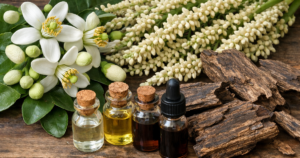 Huong Thom 1771024985613820882661 32 0 992 1536 Crop 1771025090271665018860