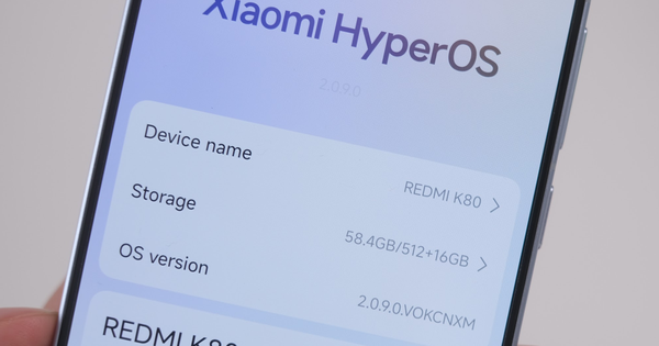 Image20251222003621 241 39 1022 1530 Crop 17664257121771596180953