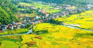 Img Social Uploadbtv 1765723034 438 Thumbnail Width2523Height1320 Watermark