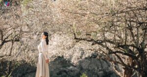 Img Social Uploadbtv 1766314028 847 Thumbnail Width1486Height778 Watermark