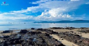 Img Social Uploadbtv 1766485091 427 Thumbnail Width1549Height811 Watermark