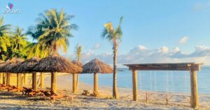 Img Social Uploadbtv 1767254175 885 Thumbnail Width1280Height670 Watermark