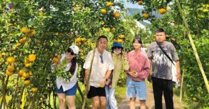 Img Social Uploadbtv 1767694348 939 Thumbnail Width1821Height953 Watermark