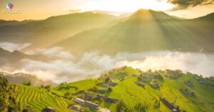 Img Social Uploadbtv 1769071978 481 Thumbnail Width943Height493 Watermark