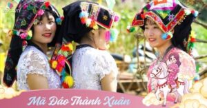 Img Social Uploadbtv 1769913154 236 Thumbnail Width640Height335 Watermark