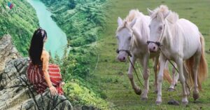 Img Social Uploadbtv 1770904459 453 Thumbnail Width636Height333 Watermark