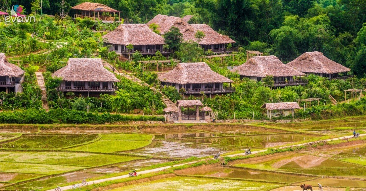 img social uploadbtv 1773215973 548 thumbnail width1500height785 watermark