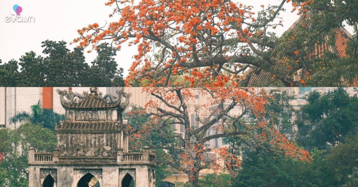 img social uploadbtv 1773366016 566 thumbnail width1162height608 watermark