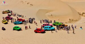 img social uploadbtv 1773814994 524 thumbnail width893height467 watermark