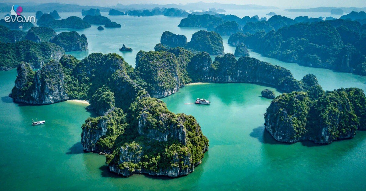 img social uploadbtv 1774763922 757 thumbnail width1379height722 watermark