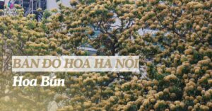 img social uploadbtv 1775189366 651 thumbnail width900height471 watermark