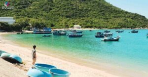 img social uploadbtv 1775401543 411 thumbnail width1162height608 watermark