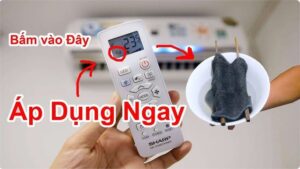 img4044 1633