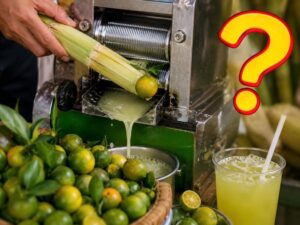 img4056 1052