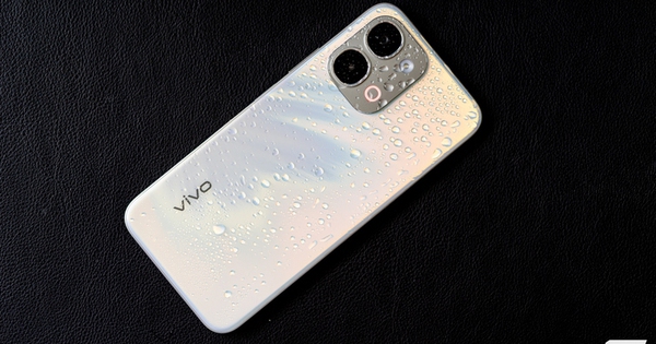 Imgp3840 17677603737111972911307 53 0 1303 2000 Crop 17677603856182031139438 1767770229442 176777022