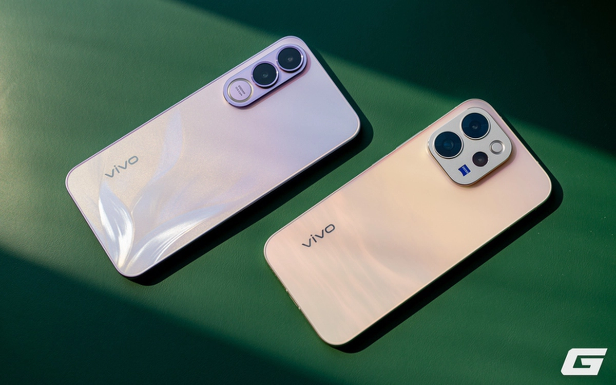 imgp4799 1774413435566870853568 60 0 1310 2000 crop 17744134415841808179625 1774443541495 1774443543