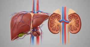 Ip Sinh Hoc Bi Pha Vo Lien Tuc Nguy Co Met Gan Tang Men Gan Va Qua Tai Than Se Tang Len Ro Ret Anh A