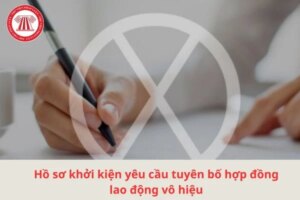khoi kien hdld vo hieu