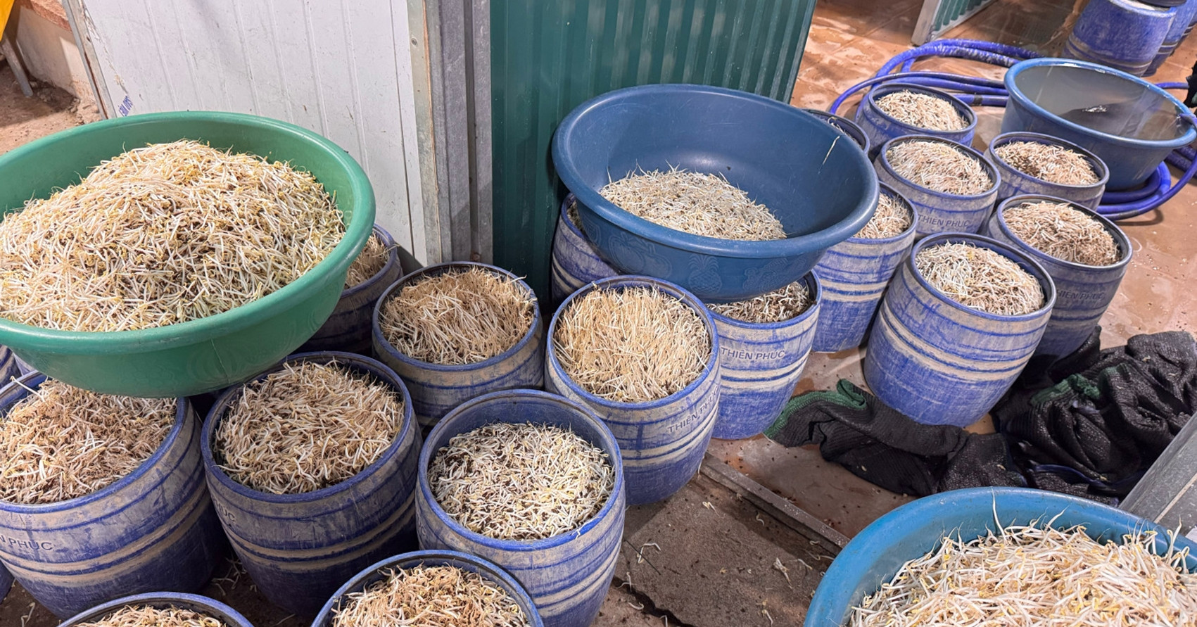 khoi to 2 chu co so san xuat hon 160 tan gia do chua chat gay ung thu 1738