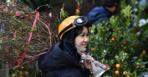 Khong Khi Lanh Gay Mua Nho O Mien Bac Du Bao Nhiet Do Dem Giao Thua 2449