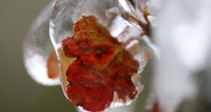 Khong Khi Lanh Ve Muon Hon Mien Bac Co The Giam 8 10 Do Vao Ngay Mai 888