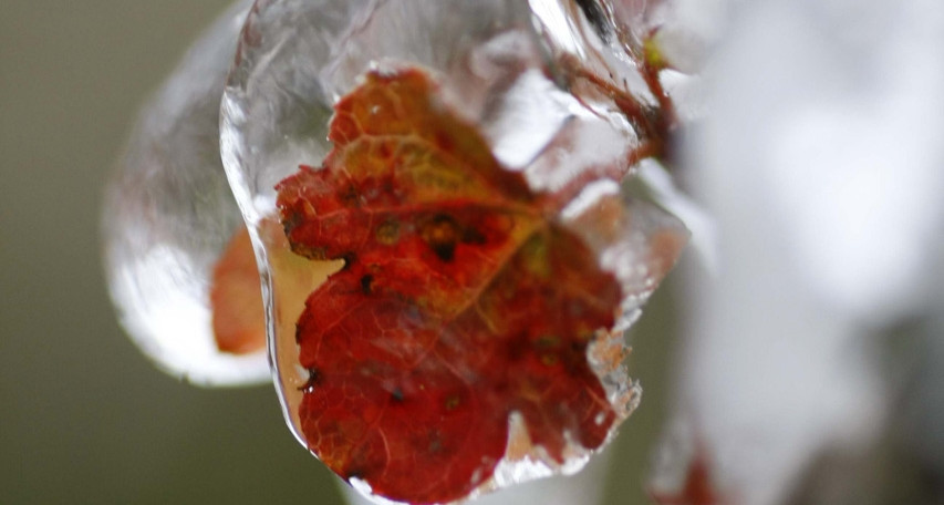 Khong Khi Lanh Ve Muon Hon Mien Bac Co The Giam 8 10 Do Vao Ngay Mai 888