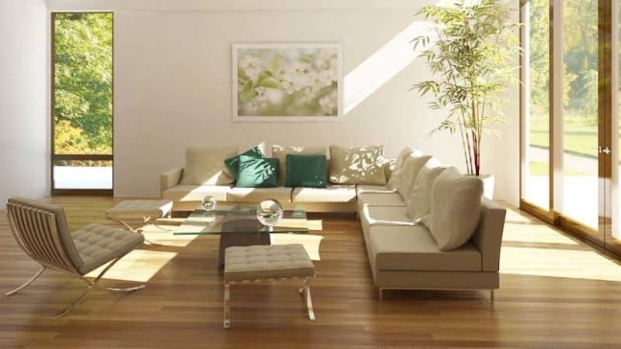 Khong Phai Me Tin Nha Co 4 Dac Diem Nay Cang O Cang Vuong Tai Loc De Sinh Soi 141510