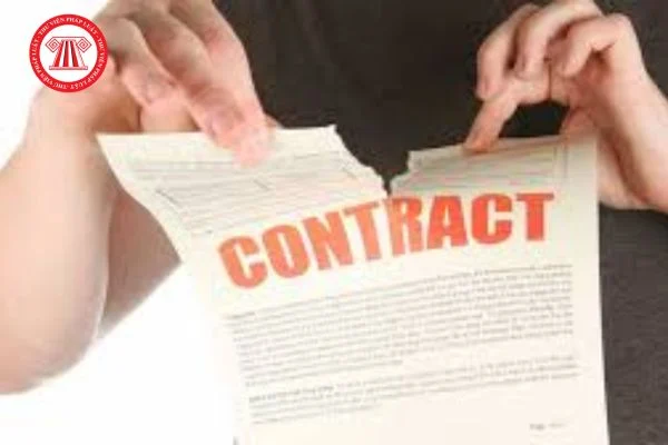 khong tai ky hop dong