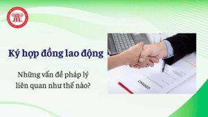 ky hop dong lao dong va nhung van de phap ly lien quan