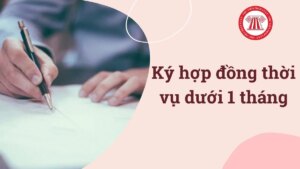 ky hop dong thoi vu duoi 1 thang