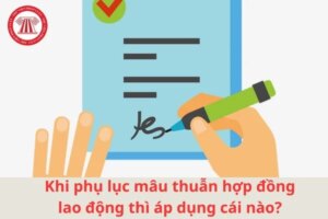 ky phu luc hop dong