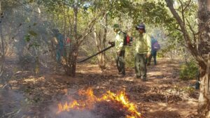 Lâm Đồng tăng cường phòng cháy rừng mùa khô 2026 1 lam dong tang cuong phong chong chay rung mua kho 1 20260327170100