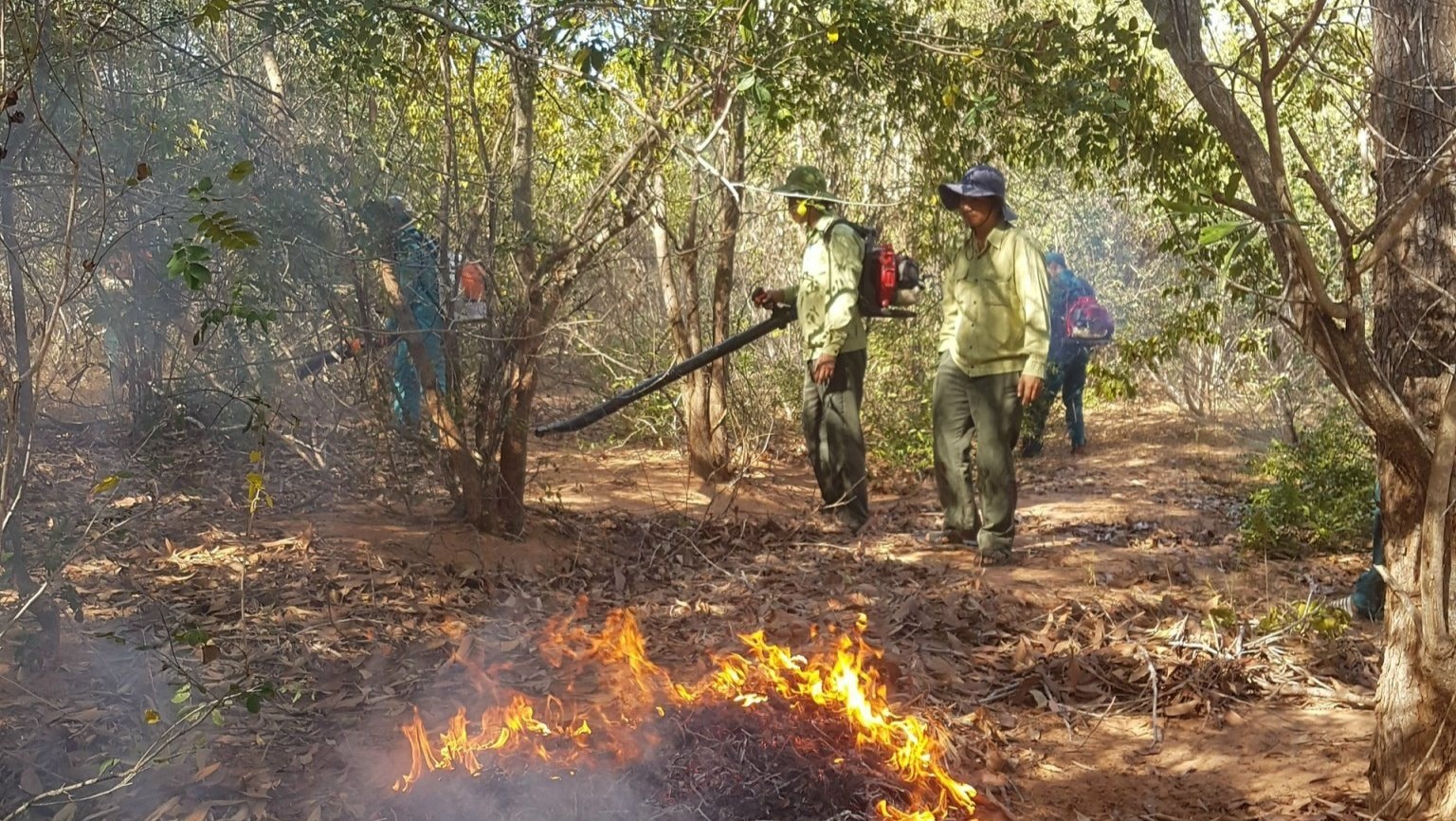 lam dong tang cuong phong chong chay rung mua kho 1 20260327170100