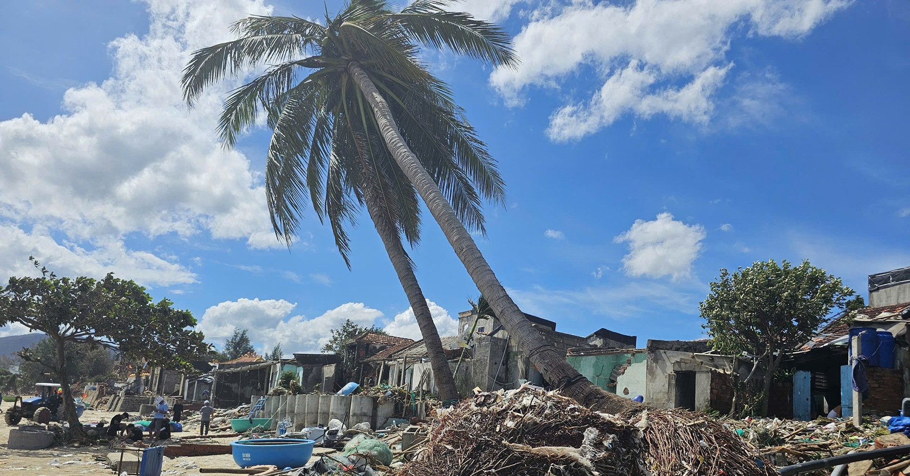 Lang Chai O Gia Lai Tan Hoang Sau Bao So 13 3340