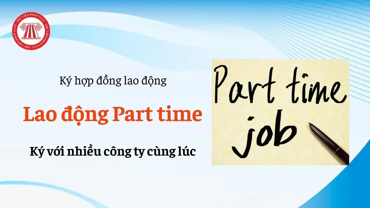 lao dong part time co ky hop dong lao dong voi nhieu cong ty cung luc