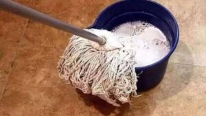 Lau Dọn Nhà Ngày Tết: Mẹo Lau Sàn Sạch Không Để Lại Vết, Bóng Đẹp Suốt 1 Tuần Lau Don Nha Ngay Tet Meo Lau San Sach Khong De Lai Vet Bong Dep Suot 1 Tuan 135738