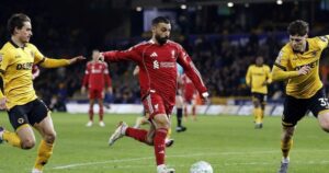 liver 17727684736701689998091 41 80 673 1092 crop 1772768555417729543149