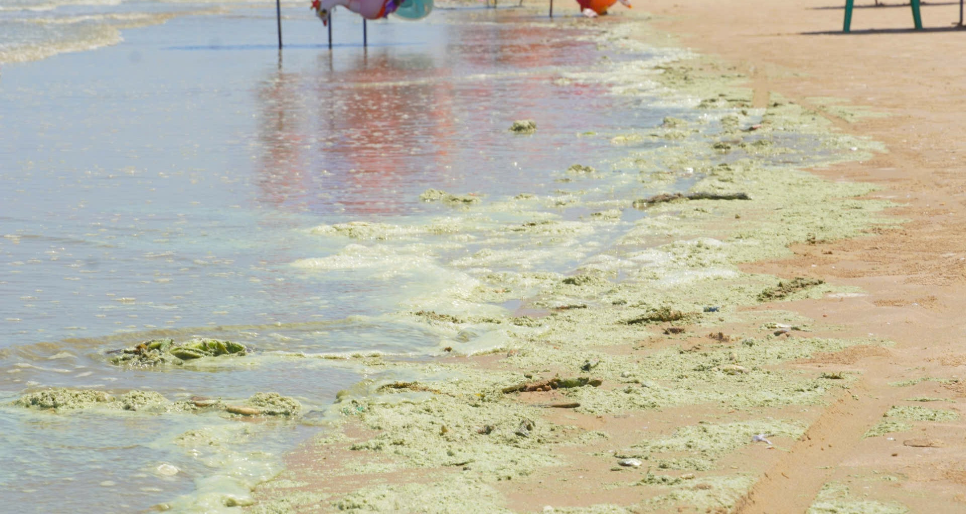 lo dien thu pham khien nuoc bien bai sau vung tau xanh nhu matcha 2380