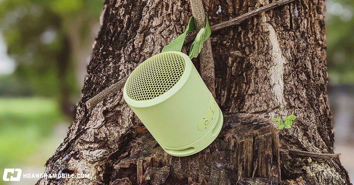 Loa Bluetooth Sony Xb 13