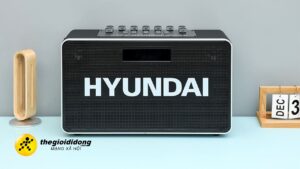 Loa Karaoke Huyndai Gia Re 2639062323751519487