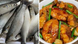 loai ca giau protein it chat beo ban day ngoai cho dem kho voi loai cu nay an cuc ngon 150826