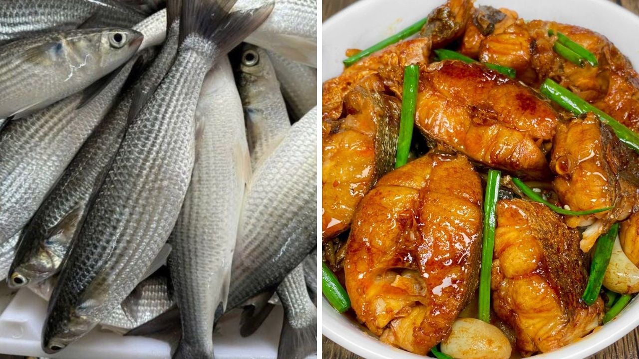 loai ca giau protein it chat beo ban day ngoai cho dem kho voi loai cu nay an cuc ngon 150826