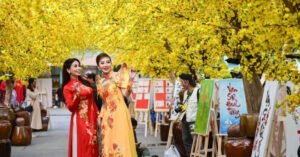 Lời chúc Tết bạn bè hay, hài hước mừng năm mới Bính Ngọ 2026 1 loi chuc tet ban be hay hai huoc mung nam moi binh ngo 2026 3026