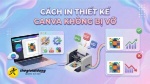 lop 1 olp 1639096026665775955