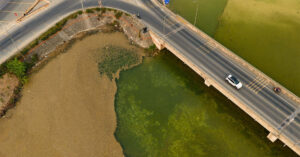 lop vang vang xuat hien tai ho nuoc thai cong ty hoa chat nguoi dan thap thom lo ngai 3016