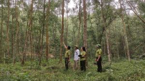 Giữ rừng mùa hanh khô ở Thái Nguyên 1 luc luong hat kiem lam so 17 tinh thai nguyen tang cuong tuyen truyen huong dan nguoi dan cac bien p