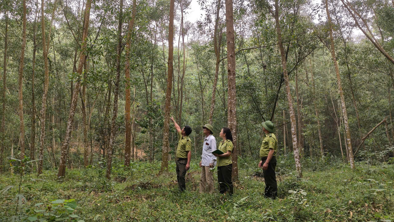 luc luong hat kiem lam so 17 tinh thai nguyen tang cuong tuyen truyen huong dan nguoi dan cac bien p