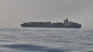 luc luong ve binh cach mang hoi giao irgc bat giu tau epaminondas tai eo bien hormuz.reuters