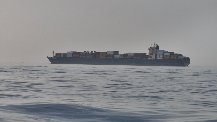 luc luong ve binh cach mang hoi giao irgc bat giu tau epaminondas tai eo bien hormuz.reuters