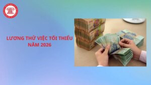 luong thu viec toi thieu nam 2026 la bao nhieu